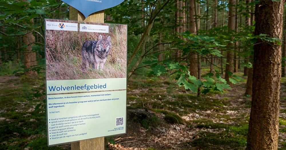 Wolvenleefgebied in Nederland (Shutterstock)