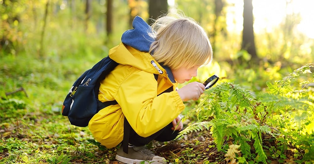 7 dingen die je kind leren omgaan met de natuur (zonder dat ze het saai vinden)
