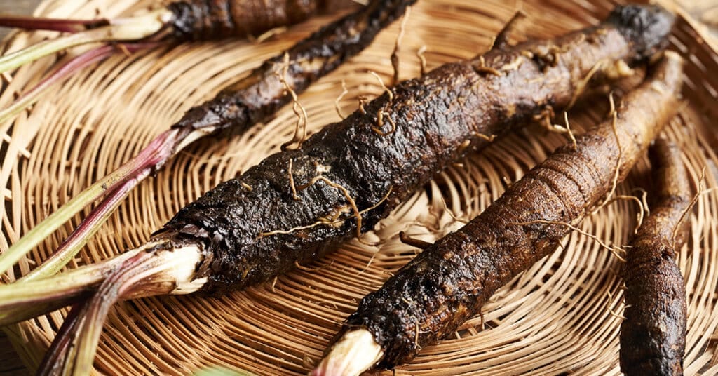 Verse kliswortel (Shutterstock)