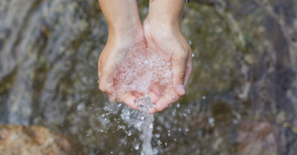 Water zuiveren thuis - zelfvoorzienend in 52 weken (Shutterstock)