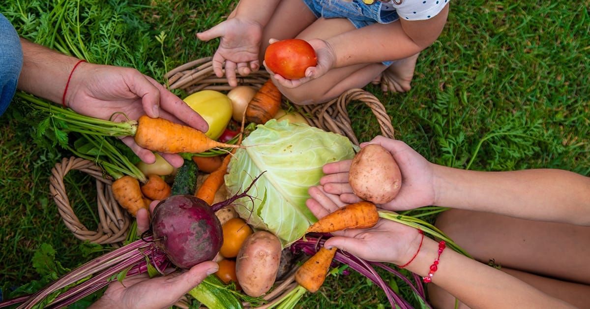 Oogst in rust (Shutterstock)