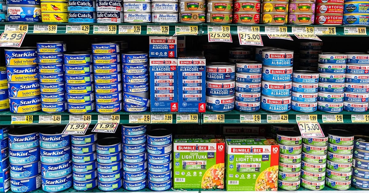 Welke tonijn in blik is nu eigenlijk de beste (Shutterstock)