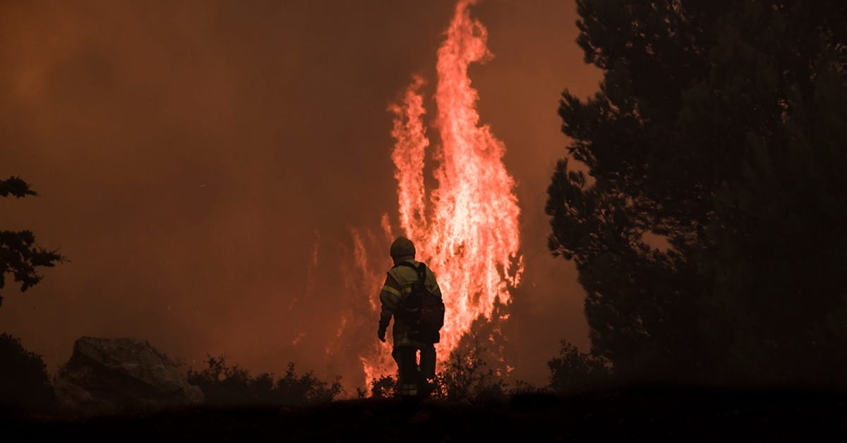 Een brandweerman kijkt naar het vuurfront (Shutterstock)