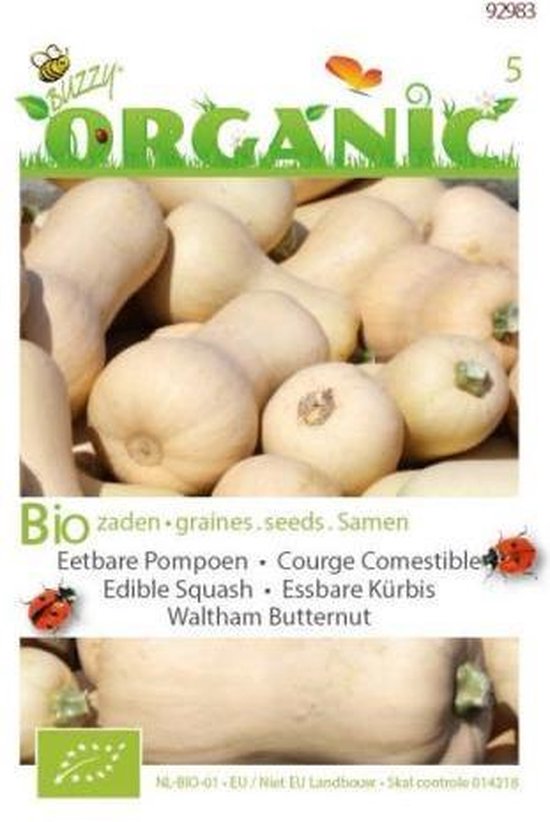 Buzzy Bio wintersquash Waltham Butternut