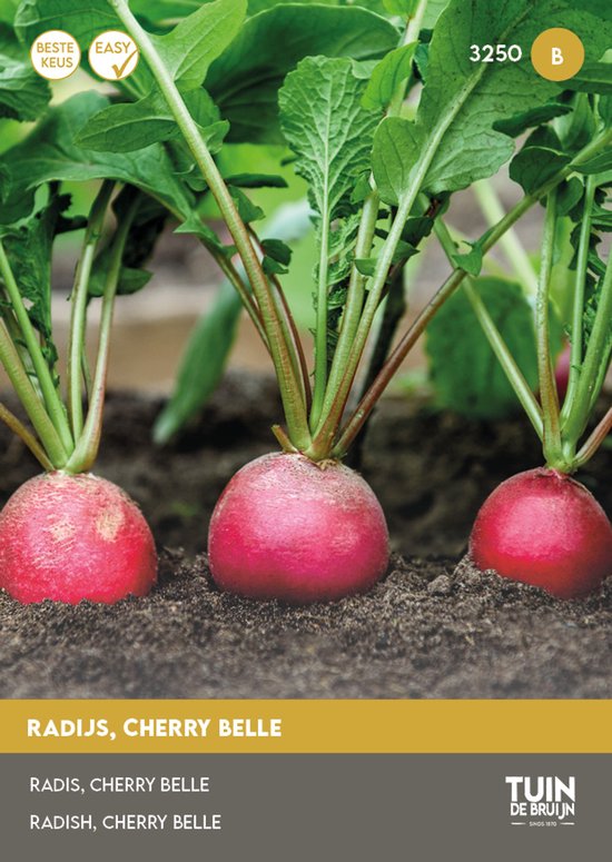 Tuin de Bruijn Radijs Cherry Belle, 5 gram zaad