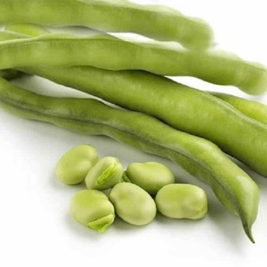 Helza Grower Seeds Wintertuinboon Aguadulce, ca. 100 gram